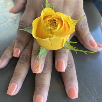 Swan's Nail Spa - Nail dip - Nail Salons Near Me - Menifee, California