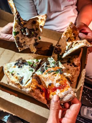 Avant Gardner by null