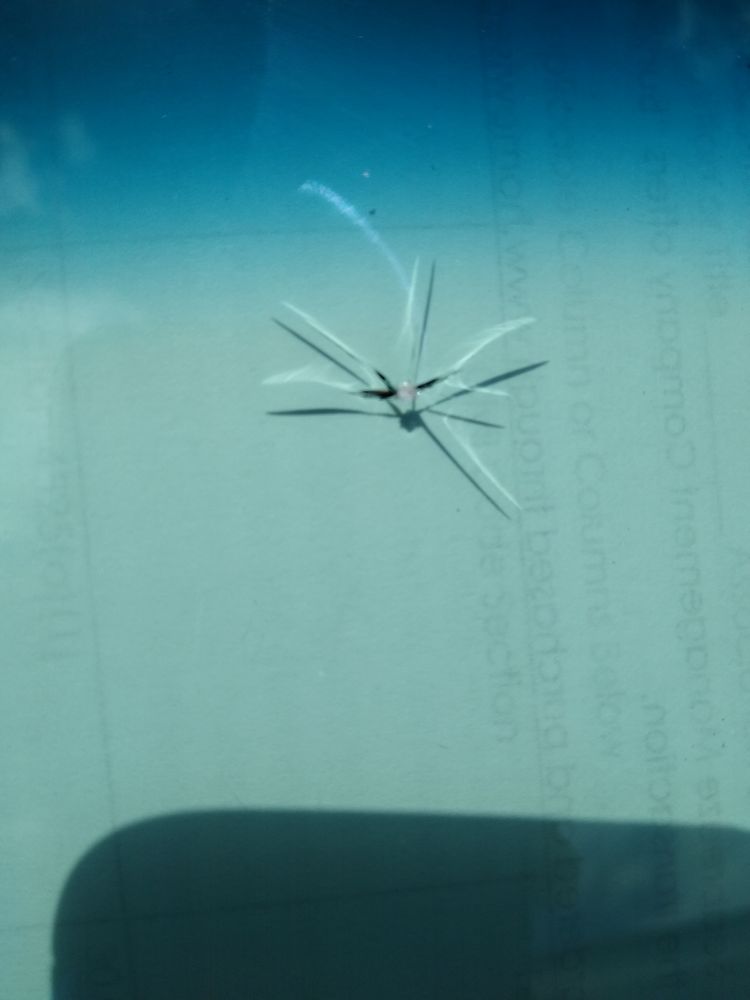 AXEL AUTO GLASS Updated May 2024 40 Photos Hemet, California