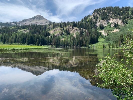 Big Cottonwood Canyon by null