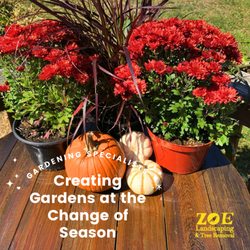 Zoe Landscaping & Tree Services