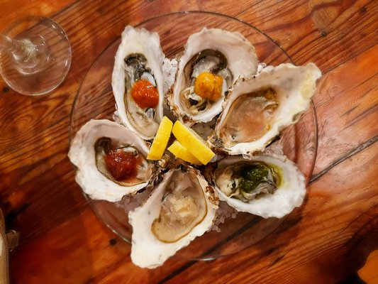 Humboldt Bay Provisions by null