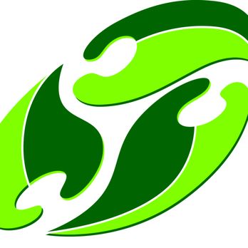 GREEN VISION - Updated August 2025 - 8 Emery Ave, Randolph