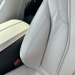 Cajun Color Inc - Perfect job! Leather was repainted and Will did a great job.