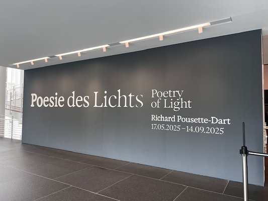 Museum Frieder Burda by null