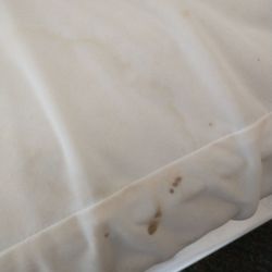 Hotel Wayne - Water drain Dried blood..