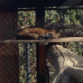 Animal Ark - Zoos Near Me - Reno, Nevada Animal Ark - Zoos Near Me - Reno, Nevada