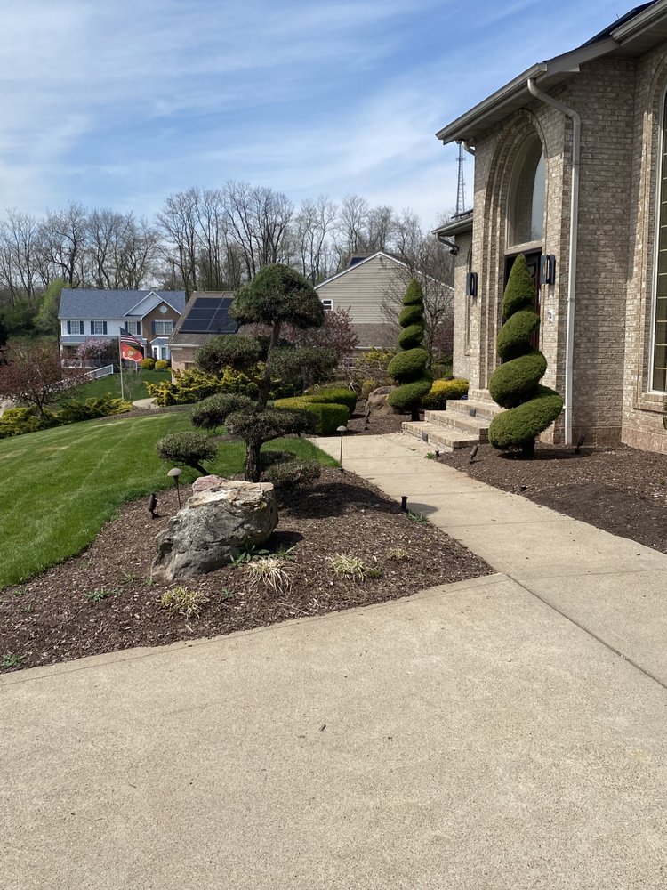 Slide of Dominic James & Co