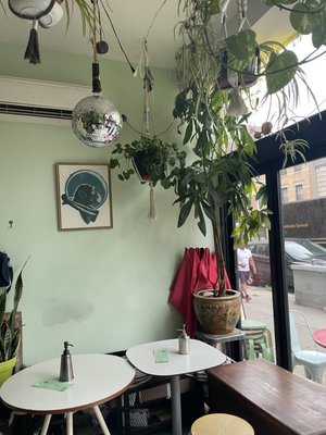 Shaka Shaka Tiki by null