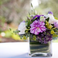 Pardes Floral