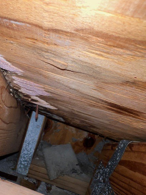 Slide of American Hero Construction of Florida