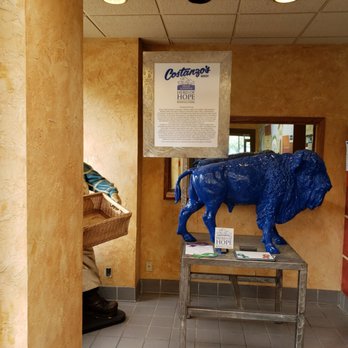 Costanzo's Bakery - a statue of a blue buffalo - Bakeries Near Me - Buffalo, New York