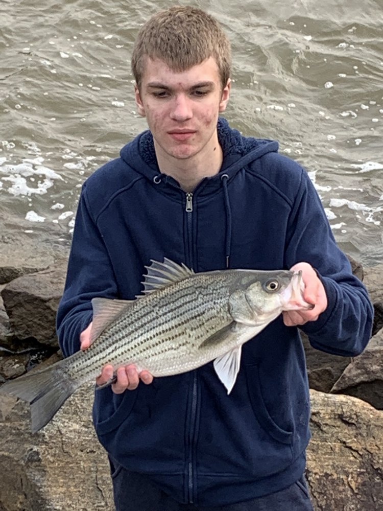 GLL MARINE - Updated March 2025 - 14 Photos - 3017 W Point Rd, LaGrange