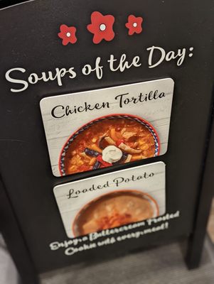 Chicken Salad Chick by null