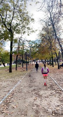 Great Pond of El Retiro by null