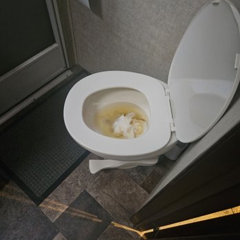 Hidden Cave Ranch Bed and Breakfast - Filled toilet tank. Step on the pedal, it drops into tank, unless full - Bed & Breakfast Near Me - Burkesville, Kentucky Hidden Cave Ranch Bed and Breakfast - Filled toilet tank. Step on the pedal, it drops into tank, unless full - Bed & Breakfast Near Me - Burkesville, Kentucky