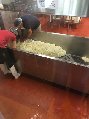 Urban Stead Cheese by null