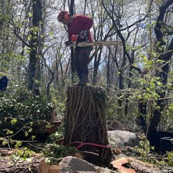 Lopez Brother’s Landscaping & Tree Services