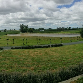 Zealong Tea Estate - Panorama - Coffee & Tea Near Me - Hamilton, WKO