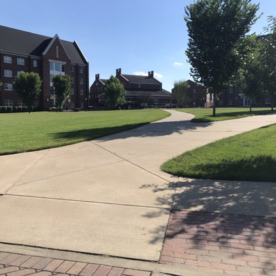 Austin Peay State University by null
