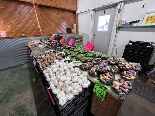 South Bend Farmer's Market by null