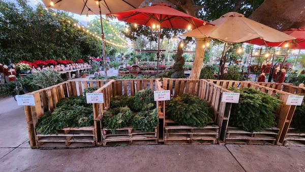 Whitfill Nursery by null