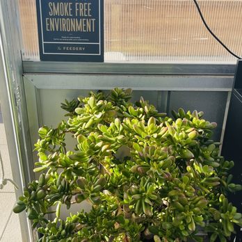 Grow + Gather - Attraction Farms Near Me - Englewood, Colorado Grow + Gather - Attraction Farms Near Me - Englewood, Colorado