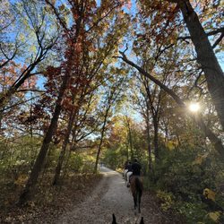 9 Acres - Trail at Cook County Forest Preserve