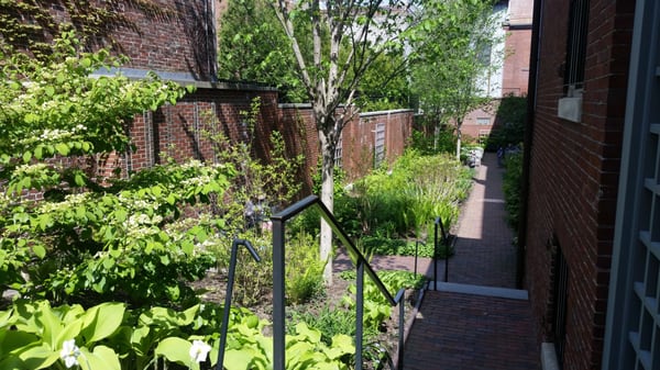 Maine Historical Society and the Wadsworth-Longfellow House by null