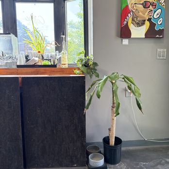 Troisieme Cafe - Station - Coffee & Tea Near Me - Wilmington, Delaware Troisieme Cafe - Station - Coffee & Tea Near Me - Wilmington, Delaware