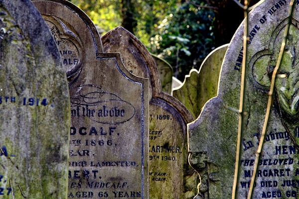 Abney Park Cemetery Trust by null