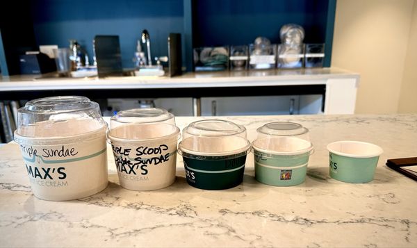 Max's Best Ice Cream by null