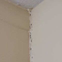 San Antonio North Nursing and Rehab - Separation of walls. Some corners have obvious signs where caulk was used to try to bridge the gaps in gobs & painted over.