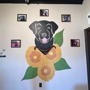Riley’s on Sutter - More puppy artwork! - Salad Near Me - Folsom, California Riley’s on Sutter - More puppy artwork! - Salad Near Me - Folsom, California
