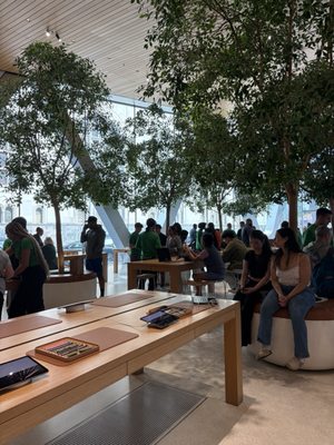Apple Downtown Brooklyn by null