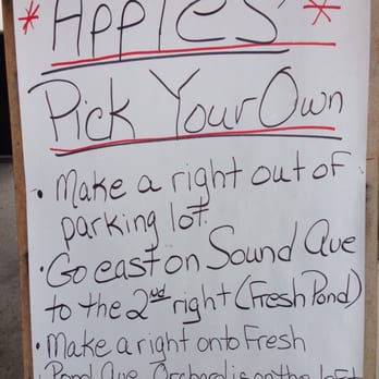 Lewin Farms - This is how to get apple farm from the farm stand. - Pick Your Own Farms Near Me - Calverton, New York Lewin Farms - This is how to get apple farm from the farm stand. - Pick Your Own Farms Near Me - Calverton, New York