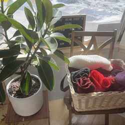 The Dream Shop - Handmade scarves!