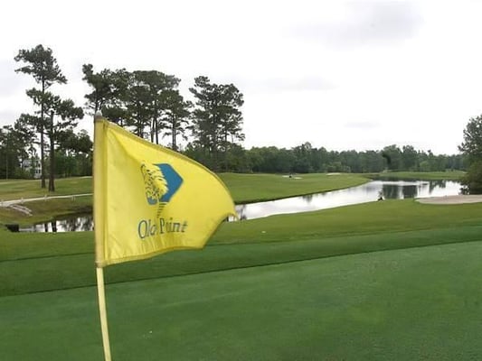 Olde Point Country Club by null