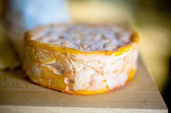 Andrew's Cheese Shop by null