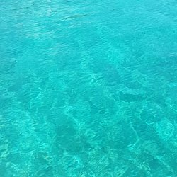 Sealives