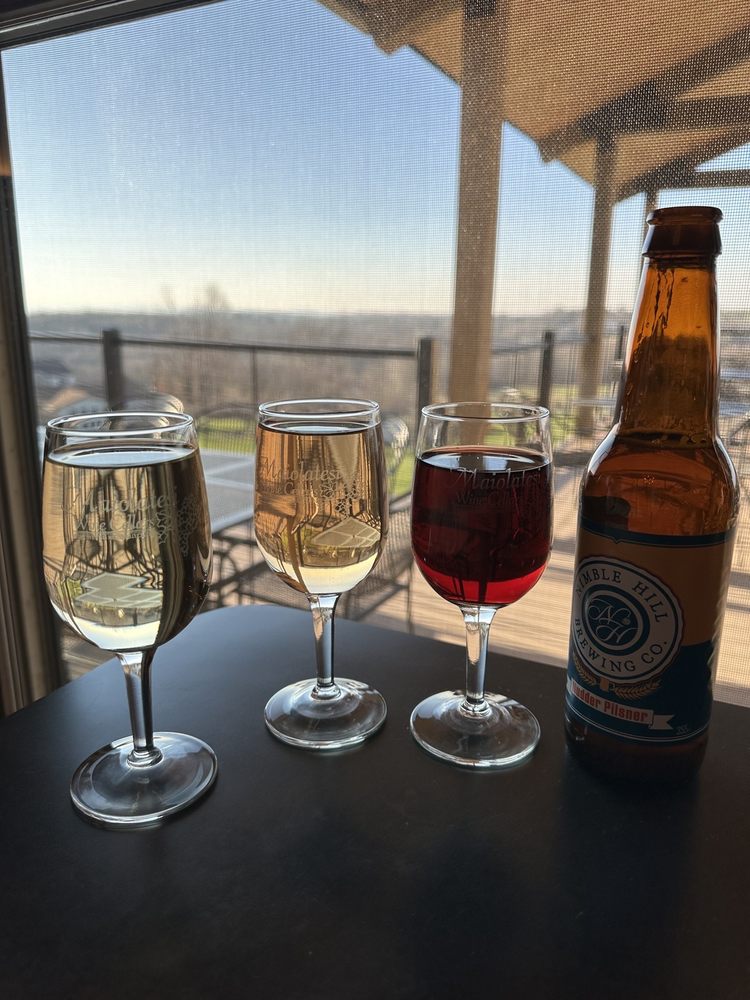 MAIOLATESI WINE CELLARS Updated October 2024 43 Photos & 35 Reviews