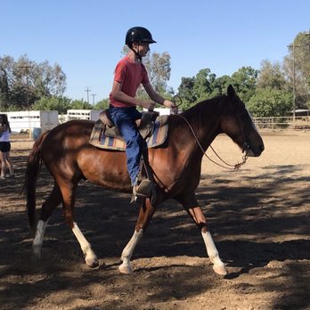Copperwood Training Stables - Horseback Riding Near Me - Clovis, California