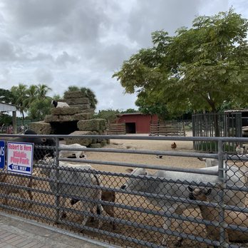 Robert Is Here - Animal feeding area behind the store - Fruits & Veggies Near Me - Homestead, Florida Robert Is Here - Animal feeding area behind the store - Fruits & Veggies Near Me - Homestead, Florida