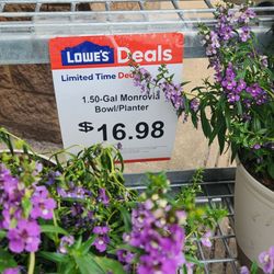 Lowe's