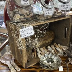 Karma New & Used - Come check out our large ocean display. All shells are from Dave and Janelle's most recent coastal trips. Always in search for exotic shells