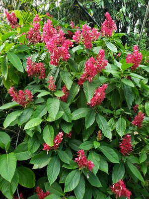 JESSE DURKO’S NURSERY - Updated January 2025 - 99 Photos & 41 Reviews