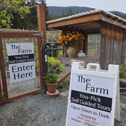The Little Farm on Olga Road