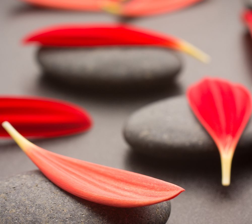 HOBBY LOBBY Updated August 2024 16 Photos 3501 E Lincolnway