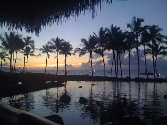 Humuhumunukunukuāpuaʻa by null