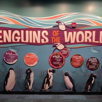 Ripley's Mirror Maze - Penguins of the world - Aquariums Near Me - Myrtle Beach, South Carolina Ripley's Mirror Maze - Penguins of the world - Aquariums Near Me - Myrtle Beach, South Carolina